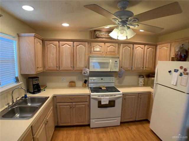 14022 Whitewing Ln, Lyford, TX 78569 - kitchen featuring white appliances, a sink, light wood-style floors, a ceiling fan, and light countertops