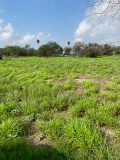 000 Simpson Rd, Edinburg TX, 78542 land for sale