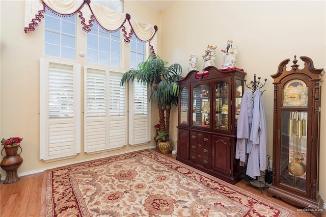 living area with light hardwood / wood-style flooring