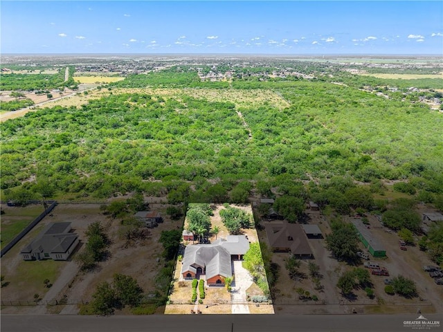 1722 Blue Bird Ave, Penitas, TX 78576 - bird's eye view of a forest