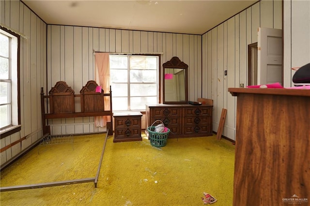 misc room with wooden walls, carpet flooring, and a wealth of natural light