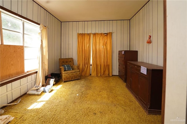 unfurnished room featuring light carpet and wood walls