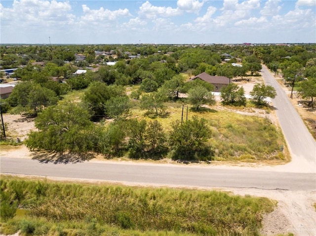 Listing photo 3 for 305 E Military Rd, La Joya TX 78560