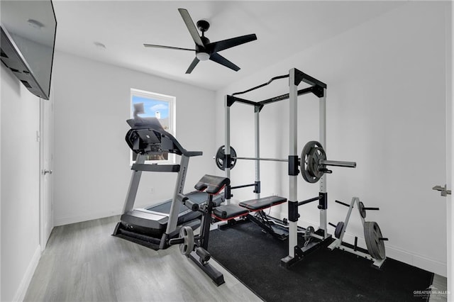 2800 Santa Lydia St, Mission, TX 78572 - workout area featuring baseboards, a ceiling fan, and wood finished floors