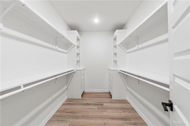 1114 Knotty Pine Ln, Harlingen, TX 78552 - spacious closet with light wood finished floors