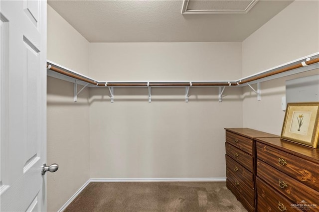 328 Kika De La Garza St, Edinburg, TX 78539 - photo 23