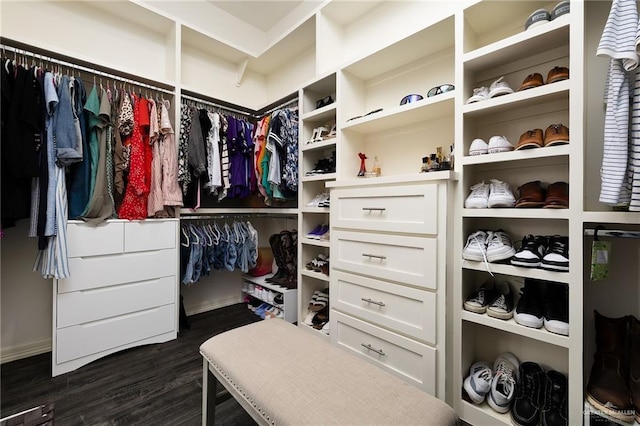 walk in closet featuring dark wood finished floors
