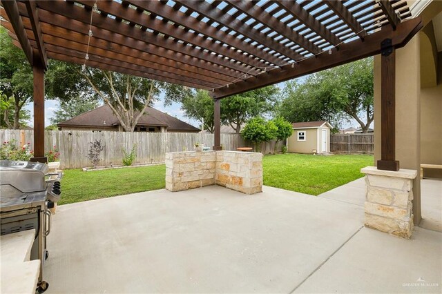 view of patio / terrace with a fenced backyard, a shed, and an outdoor structure