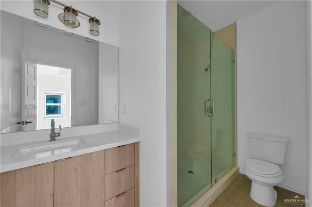 full bath featuring vanity, a shower stall, and toilet