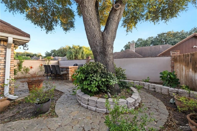 view of yard featuring a patio area