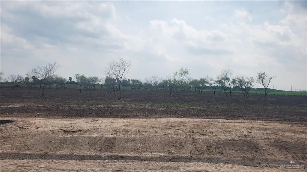 917 W Mile 13 N, Weslaco, TX 78599 - photo 1