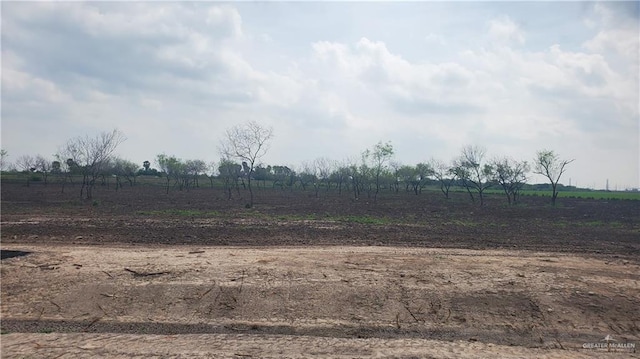917 W Mile 13 N, Weslaco, TX 78599 - photo 1