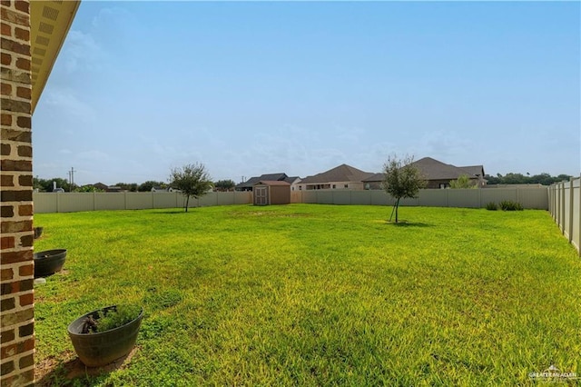 2014 Thacker Ln, Harlingen, TX 78552 - fenced backyard with a storage unit