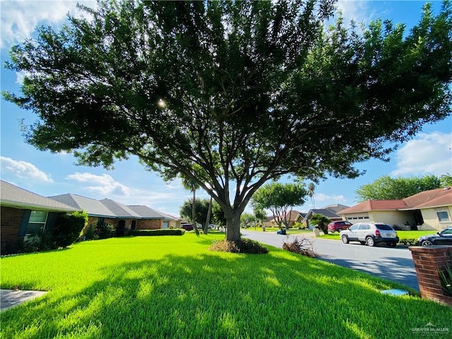 2004 Pelican Ave, Mcallen, TX 78504 - photo 3