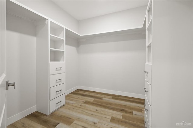 2615 E Solar Dr, Mission, TX 78574 - spacious closet with light wood-style flooring