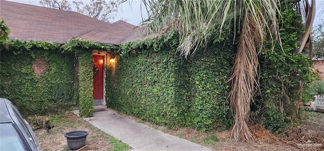1601 E Saint Francis Ave E, Mission, TX 78573 - photo 2