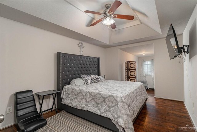 10766 N Minnesota Rd, Mission, TX 78574 - bedroom with a tray ceiling, wood finished floors, baseboards, and a ceiling fan