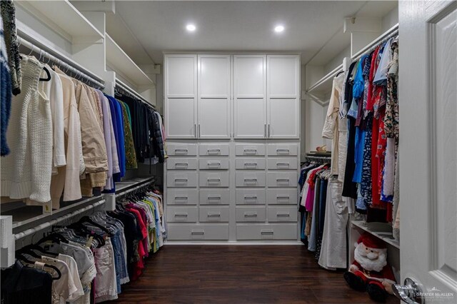 spacious closet featuring dark hardwood / wood-style flooring