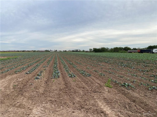 000 S Cesar Chavez Rd, San Juan TX, 78589 land for sale