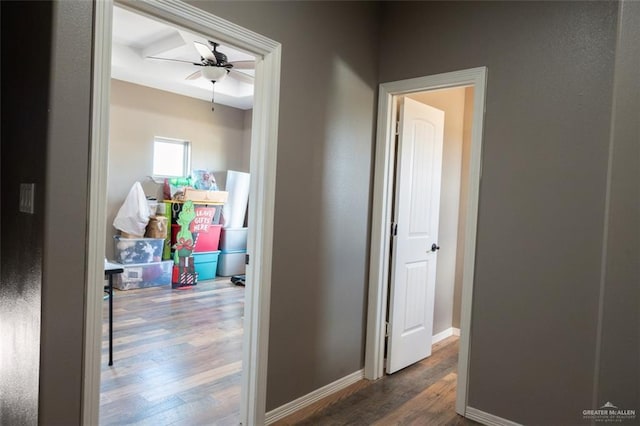 hallway featuring dark hardwood / wood-style floors