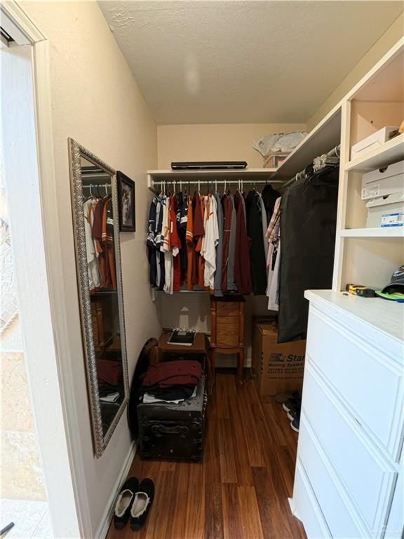 walk in closet with dark hardwood / wood-style flooring