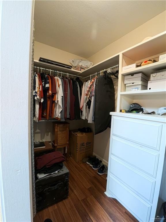 walk in closet with dark wood-type flooring