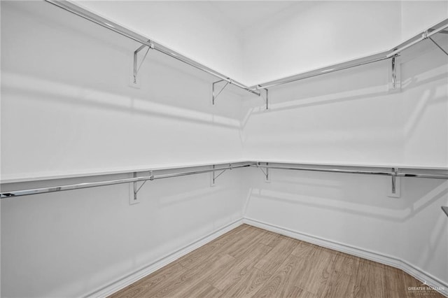 spacious closet with light wood-type flooring