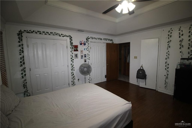 bedroom featuring ceiling fan, a tray ceiling, dark hardwood / wood-style flooring, and multiple closets