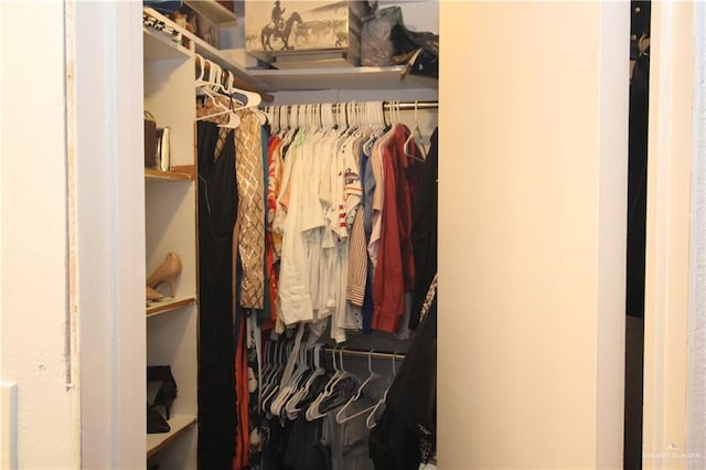 view of walk in closet