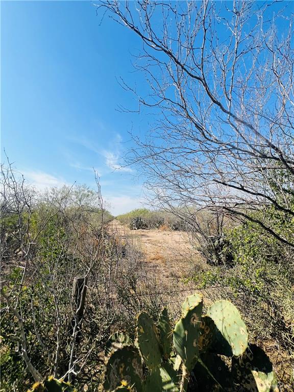 1603 Fm 649, Guerra, TX 78360 - photo 3