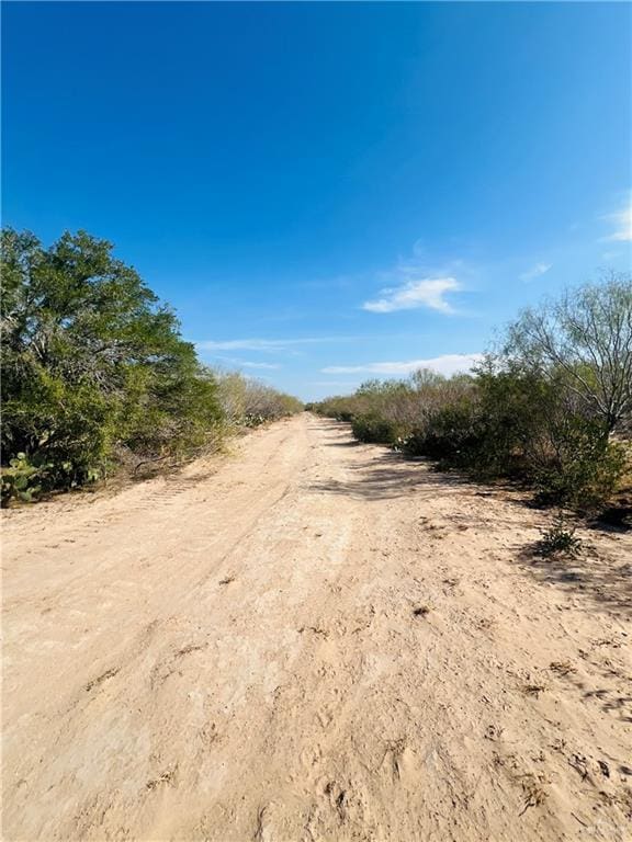 1603 Fm 649, Guerra, TX 78360 - photo 2