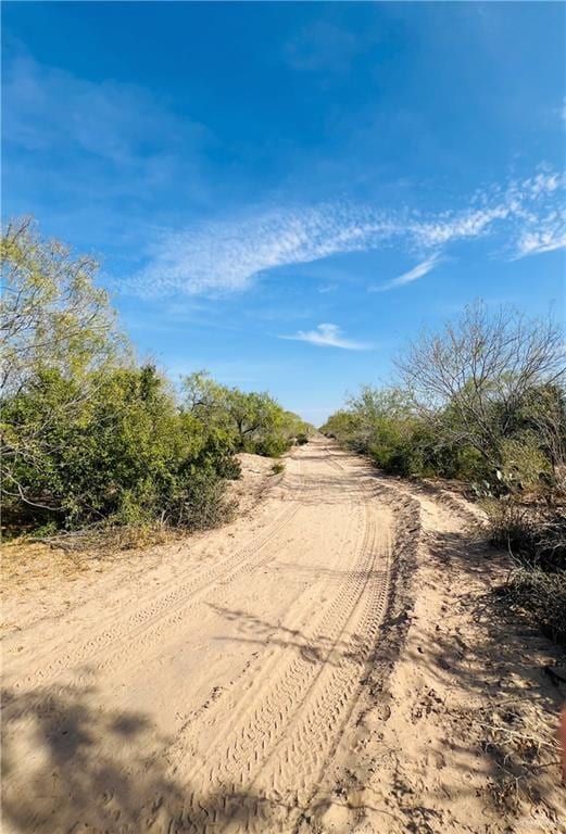 1603 Fm 649, Guerra, TX 78360 - photo 9