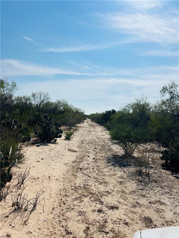 1603 Fm 649, Guerra, TX 78360 - photo 7