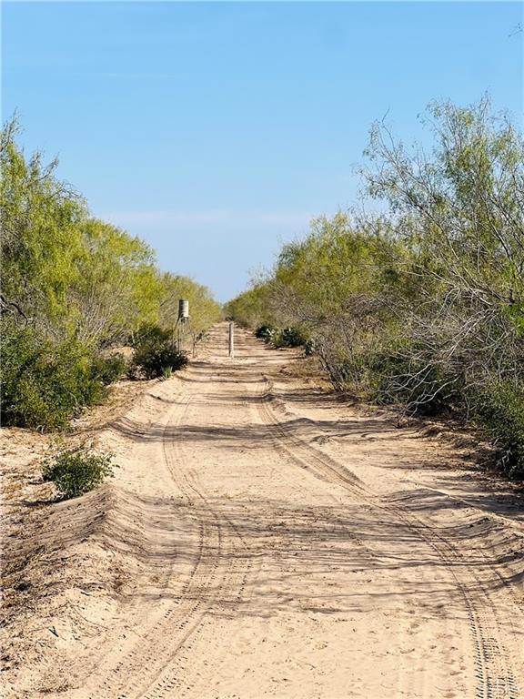 1603 Fm 649, Guerra, TX 78360 - photo 8