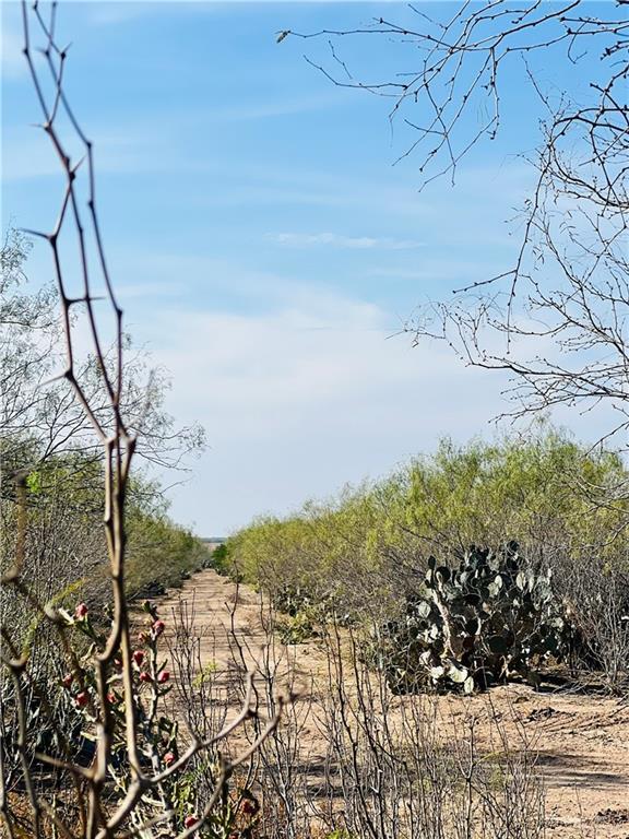 1603 Fm 649, Guerra, TX 78360 - photo 4