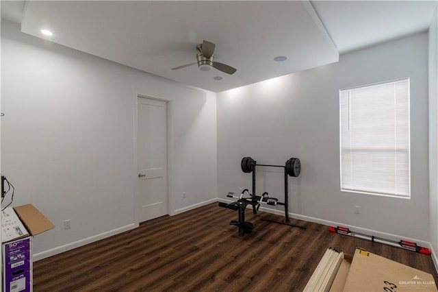 exercise room featuring ceiling fan and dark hardwood / wood-style floors