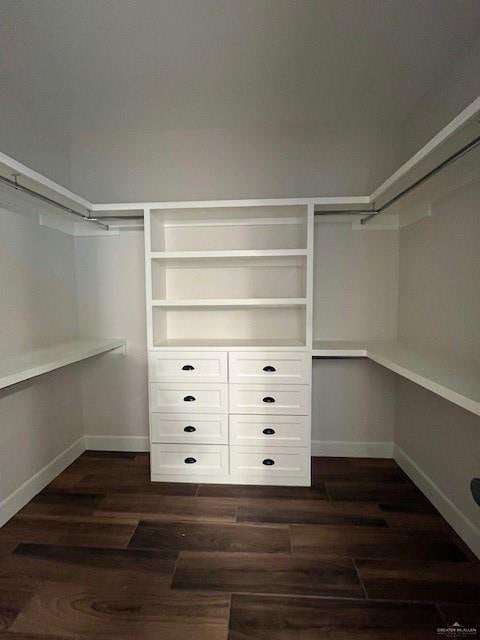 walk in closet featuring dark hardwood / wood-style floors