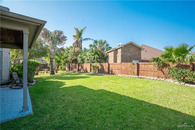 2405 San Alejandro St, Mission, TX 78572 - view of yard