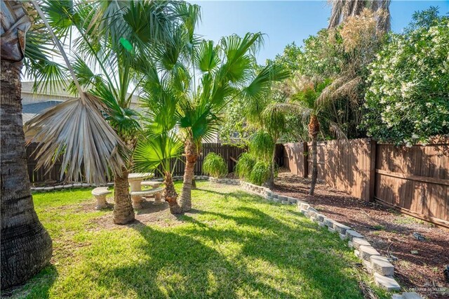 2405 San Alejandro St, Mission, TX 78572 - view of yard