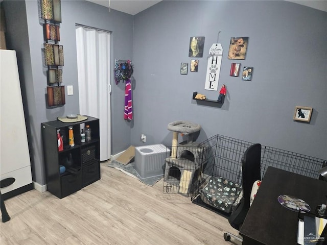 playroom featuring light hardwood / wood-style floors