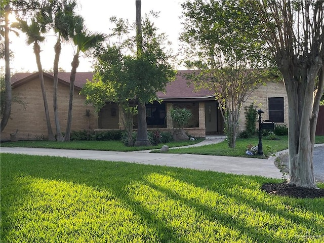 view of front of house featuring brick siding and a front yard