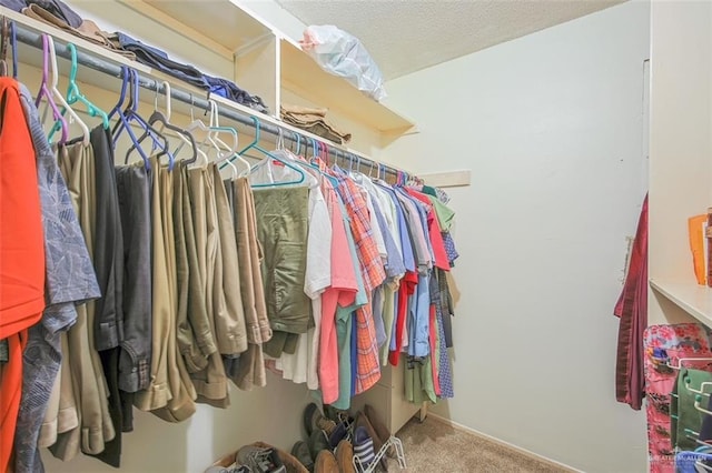walk in closet featuring carpet
