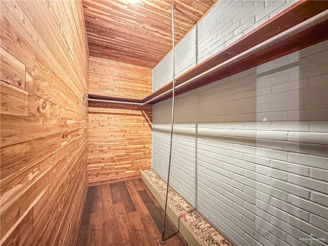 spacious closet with hardwood / wood-style flooring