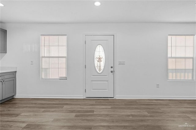 entrance foyer with a healthy amount of sunlight and light hardwood / wood-style floors