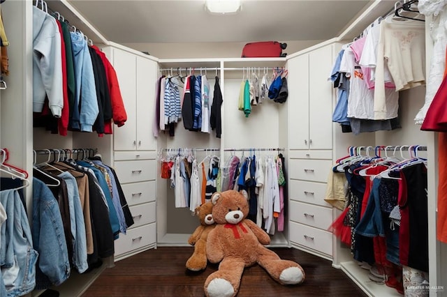 spacious closet featuring dark wood-type flooring