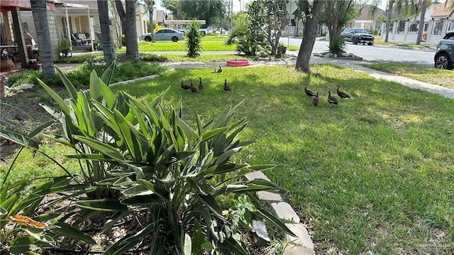1316 W Maple Ave, Mcallen, TX 78501 - view of grassy yard with a residential view