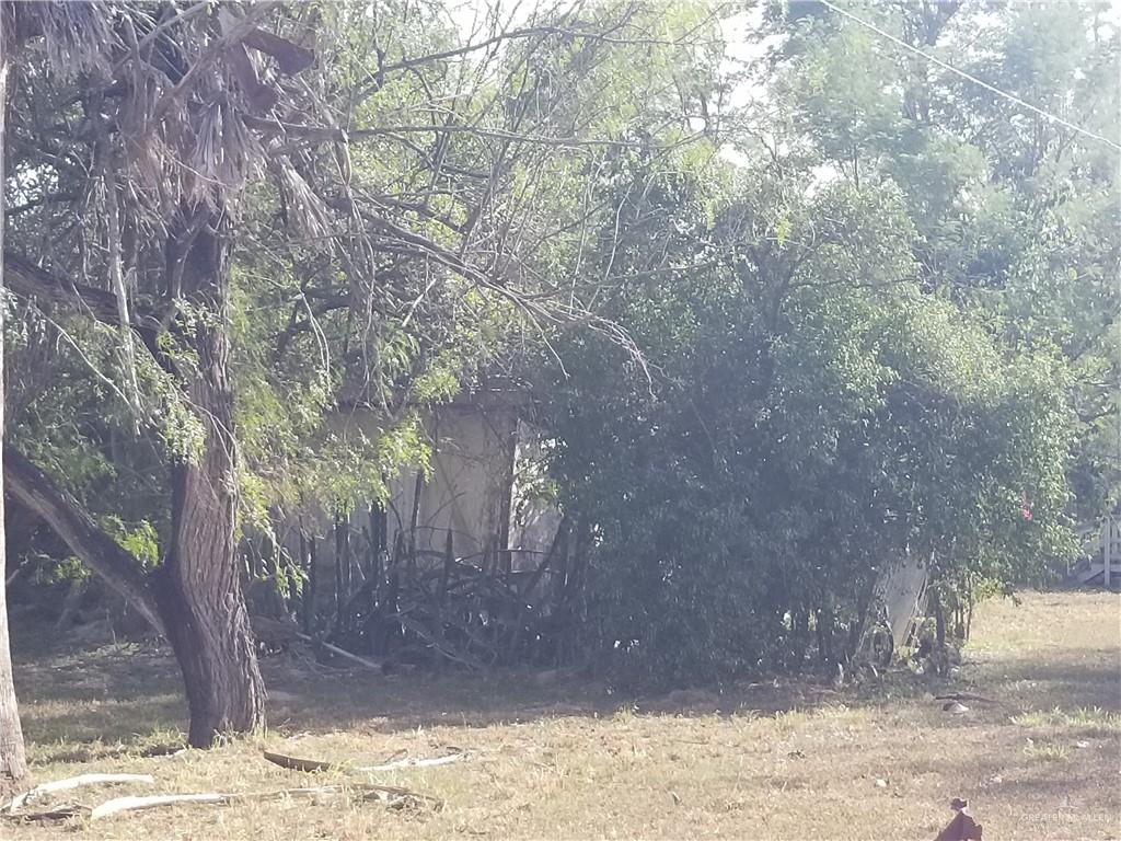 1505 E Miller Ave, Donna, TX 78537