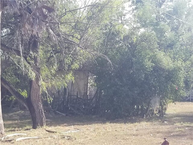 1505 E Miller Ave, Donna, TX 78537