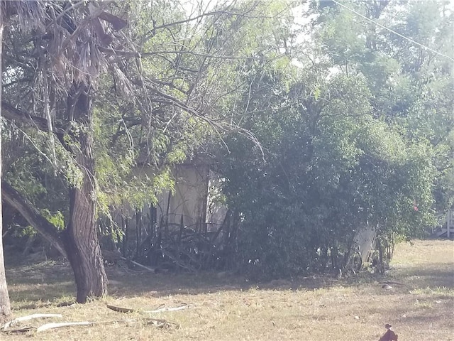 1505 E Miller Ave, Donna, TX 78537 - photo 3