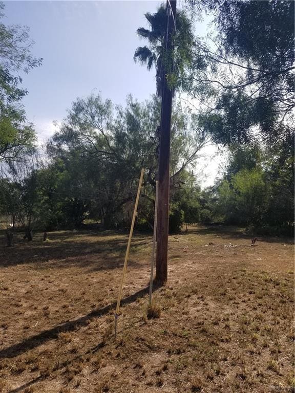 1505 E Miller Ave, Donna, TX 78537 - photo 2